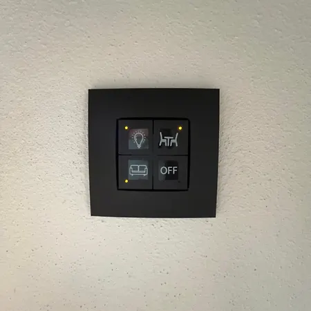 B3 *