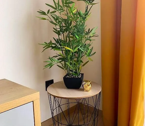 B3 Apartament